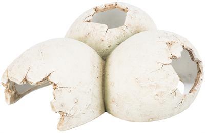 TRIXIE REPTIELENSCHUILPLAATS EIEREN POLYESTERHARS WIT 15X12X6 CM TRIXIE REPTIELENSCHUILPLAATS EIEREN POLYESTERHARS WIT 15X12X6 CM