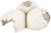 TRIXIE REPTIELENSCHUILPLAATS EIEREN POLYESTERHARS WIT 15X12X6 CM - thumbnail