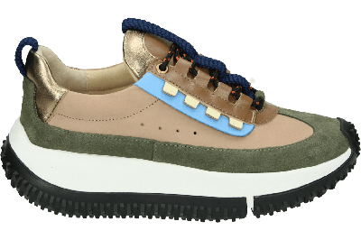 4ccccees 4CS870004 KAPOK PINTO - alle