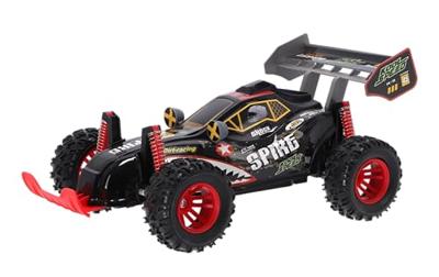 Radiografisch Bestuurbare Buggy 1:16 2.4g