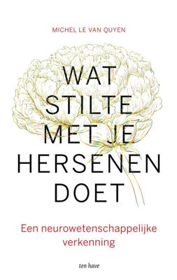 Wat stilte met je hersenen doet - Michel Le Van Quyen - ebook