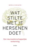Wat stilte met je hersenen doet - Michel Le Van Quyen - ebook - thumbnail