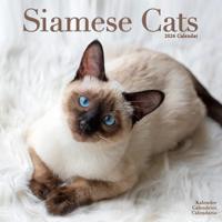 Cats - Siamese Calendar 2026 Square Cat Wall Calendar - 16 Month - thumbnail