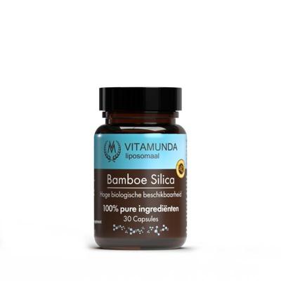 Liposomale Bamboe Silica