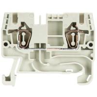 Wieland Electric 56.703.0055.0 Doorgangsserieklem Grijs 1 stuk(s) - thumbnail