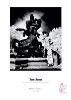 DFAR28524M - thumbnail