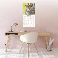 Eekhoorn Kalender 2026 - thumbnail