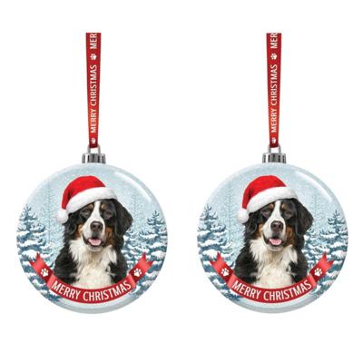 Set Van 2x Stuks Glazen Kerstballen Hond Berner Sennen 7 Cm - Kerstbal