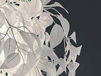 Trio Plafondlamp met blaadjesLeavy 38cm grijswit - R60461001 - thumbnail