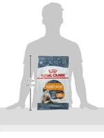 Royal Canin Hair & Skin Care kattenvoer 4 kg - thumbnail