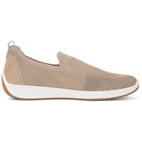 Ara 1254042 - alle - thumbnail