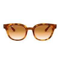 Ray-Ban zonnebril RB432450 bruin - thumbnail