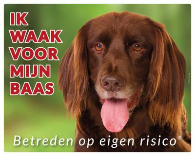 Duitse Staande Langhaar Waakbord