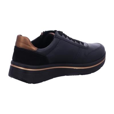 Ara 1227540 - alle