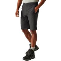 Regatta Highton II Shorts Long - thumbnail