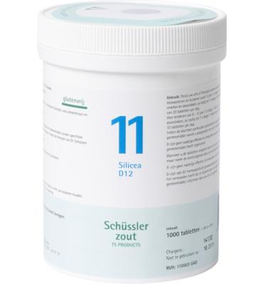 Pfluger Celzout 11 Silicea Tabletten
