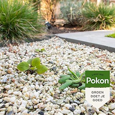 Pokon Tegen onkruid concentraat 450ml - thumbnail
