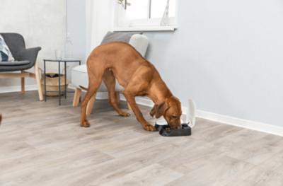 Trixie tx2 automatische voerdispenser