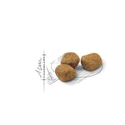 Royal Canin Indoor 7+ kattenvoer 2 x 3,5 kg Royal Canin Indoor 7+ kattenvoer 2 x 3,5 kg
