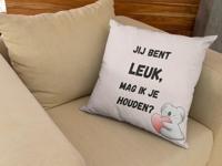 Valentijn kussen Jij bent leuk, mag ik je houden? - Pillow Buddies - thumbnail
