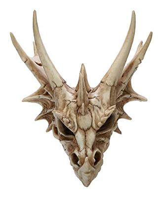 Draak Schedel Decoratie