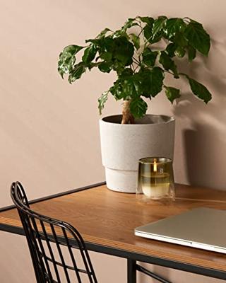 Bolsius Starterkit Clean light navulbaar Gardenia en Vijg