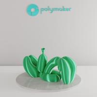Polymaker PA03011 Silk Filament PLA zijdeglans Zijdeglans 1.75 mm 1000 g Groen PolyLite™ 1 stuk(s) - thumbnail