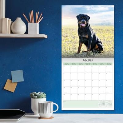 Rottweiler Kalender 2026 Rottweiler Kalender 2026