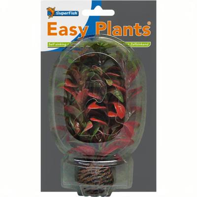 Easy Plant Laag 13 Cm Nr. 7 aquaria Superfish - Superfish