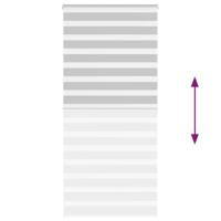 VidaXL Zebra rolgordijn 100x200 cm stofbreedte 95,9 cm lichtgrijs - thumbnail