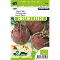 Koolrabi Blaro BIO - thumbnail