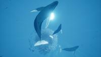 Abzu - thumbnail