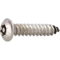 TOOLCRAFT 88114 Lenskop-plaatschroeven 4.2 mm 13 mm T-profiel met pin RVS 10 stuk(s) - thumbnail
