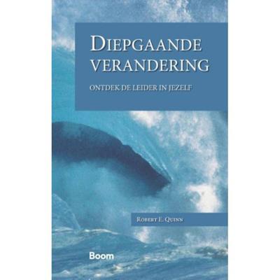 Diepgaande verandering (Paperback)