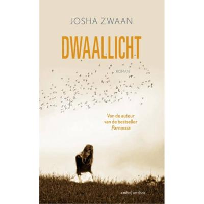 Dwaallicht (Paperback)