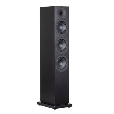 System Audio SA Saxo 60 (per paar) Zwart
