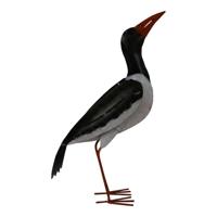 Metalen Zeevogel Omhoog Kijkend - thumbnail