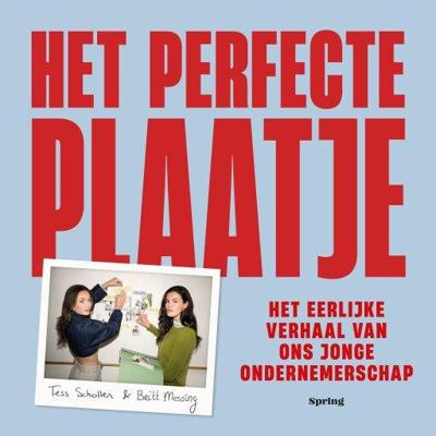 Het perfecte plaatje