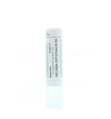 Melissa officinalis D6