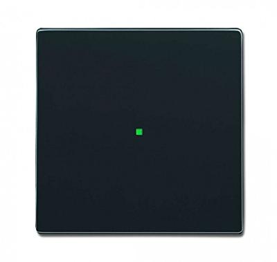 Busch-Jaeger 2CKA006220A0032 Afdekking 1-voudig free@home Antraciet, Zwart-grijs 1 stuk(s) Busch-Jaeger 2CKA006220A0032 Afdekking 1-voudig free@home Antraciet, Zwart-grijs 1 stuk(s)