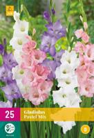 Bloembollen Gladiolus Pastel Mix 25st - thumbnail