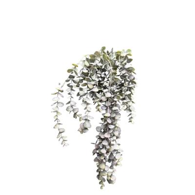 Roberts Collection Kunst hangplant eucalyptus bordeaux 95cm