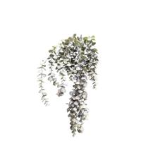 Roberts Collection Kunst hangplant eucalyptus bordeaux 95cm - thumbnail