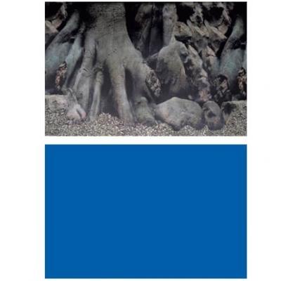 SuperFish 2-zijdige Deco Poster D4