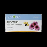 Cydonia Cydonia propolis vaginaal tabletten 12 Tabletten - thumbnail