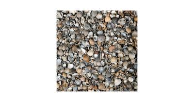 Schelpen bruin/grijs 8/16 mm BigBag 1000 kg Gardenlux - Gardenlux