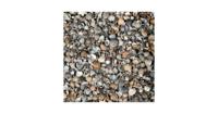 Schone schelpen Los gestort vanaf 13m3 - thumbnail