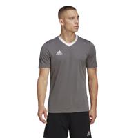 adidas Entrada 22 Voetbalshirt Grijs Wit - thumbnail