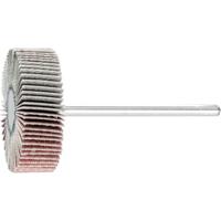 PFERD TOOLS 44402243 Lamellenslijper Diameter 30 mm 10 stuk(s) - thumbnail