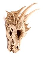 Drakenschedel Decoratie - Large - thumbnail